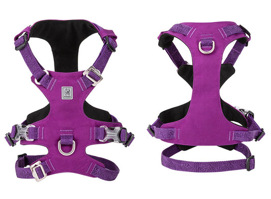 Whinhyepet Harness Purple 2XS