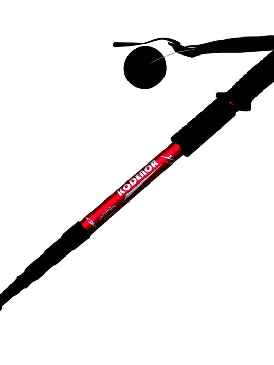 Nordic Walking Poles 110cm 3 Sections Simple Durable Aluminum Alloy Camping / Hiking Outdoorr