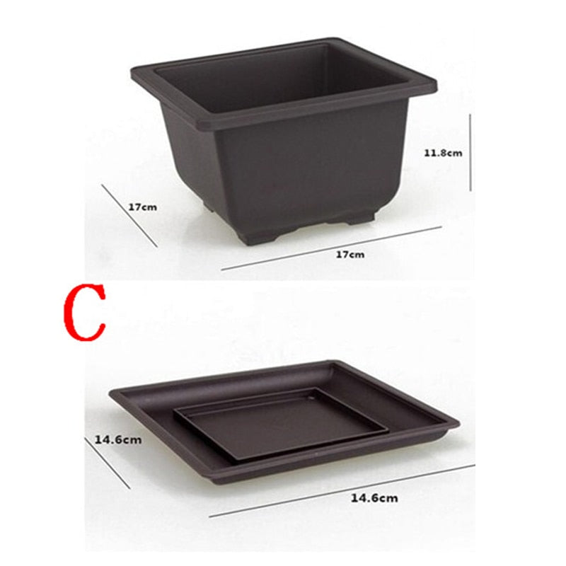 Bonsai Pots Plastic with tray various sizes