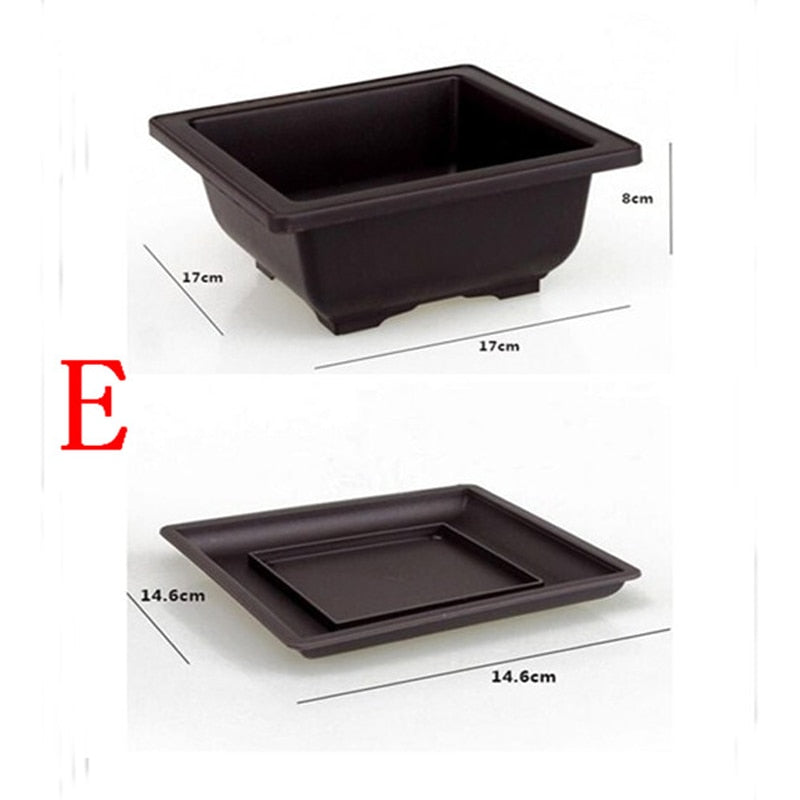 Bonsai Pots Plastic with tray various sizes