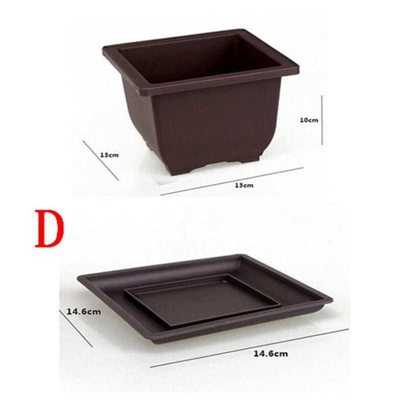 Bonsai Pots Plastic with tray various sizes