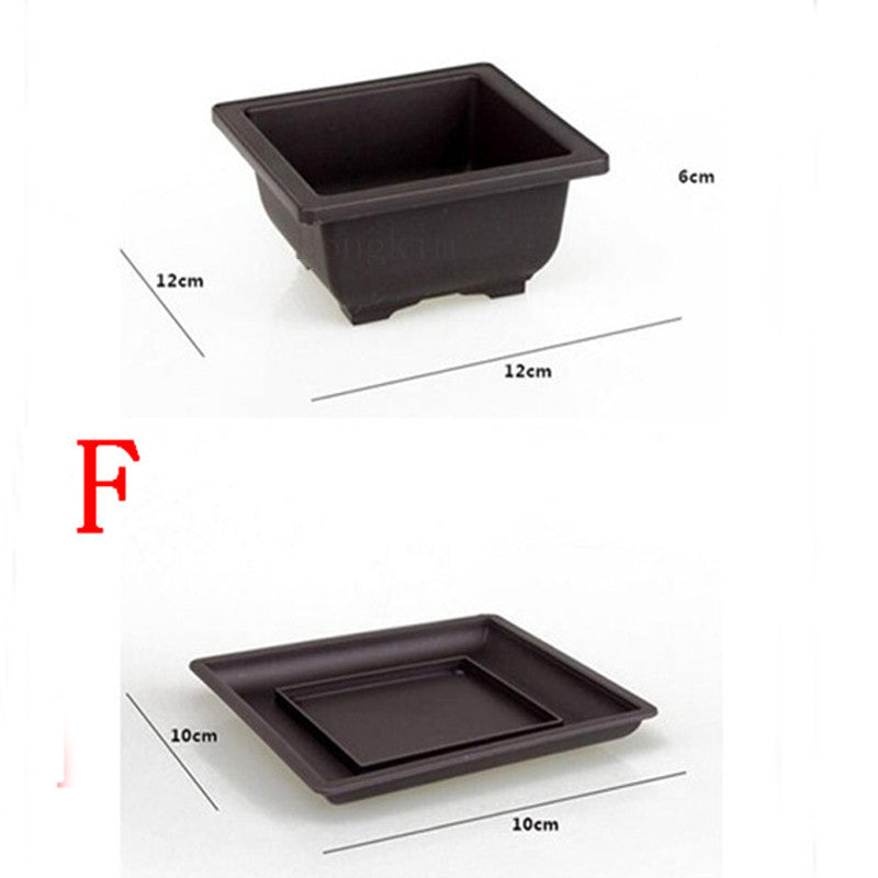 Bonsai Pots Plastic with tray various sizes