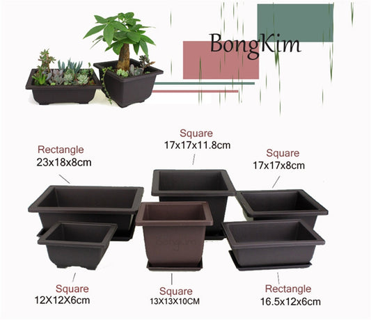 Bonsai Pots Plastic with tray various sizes