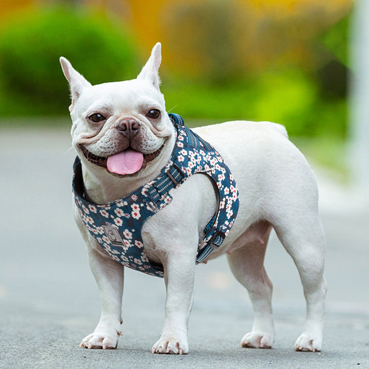 Floral Doggy Harness Saxony Blue M